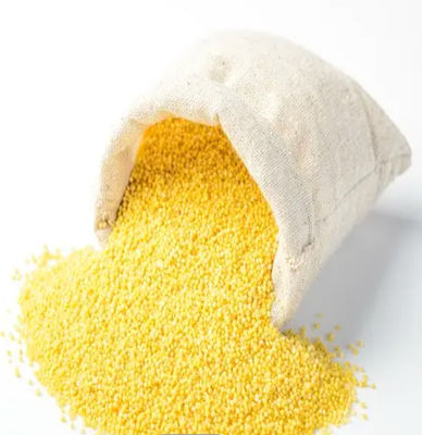Protein 60% Corn Gluten Meal Animal Feed Poultry