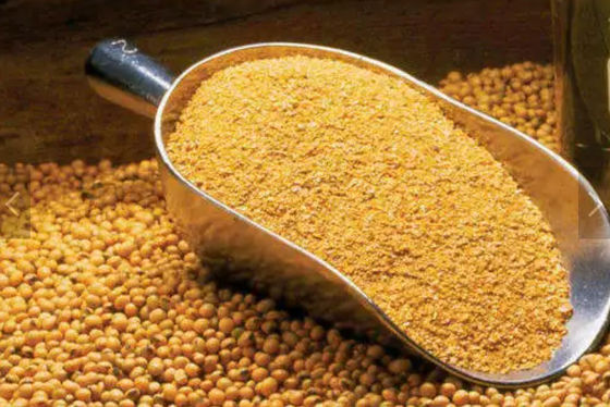 66071-96-3 Corn Gluten Meal Pellet Feed Sweet Dry Corn Spirulina Flat Fish 25kg