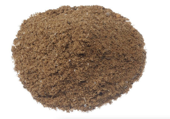 Protein Corn Gluten Feed Pellets For Cattle Animal Poultry Dried Yellow