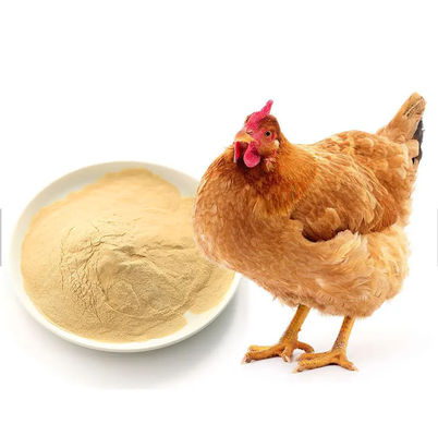 Powdered Yeast Extract Powder 500g 1kg Brewers