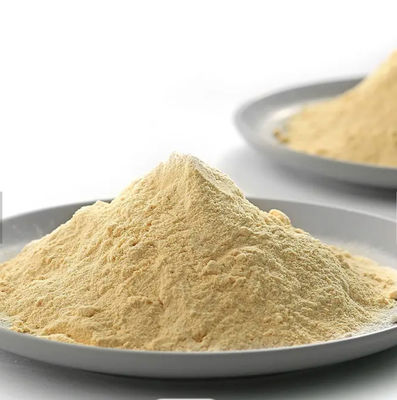 Powdered Yeast Extract Powder 500g 1kg Brewers