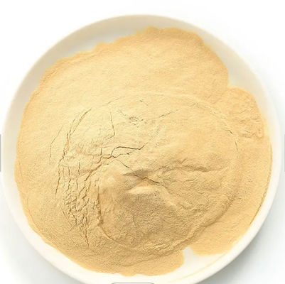 Powdered Yeast Extract Powder 500g 1kg Brewers