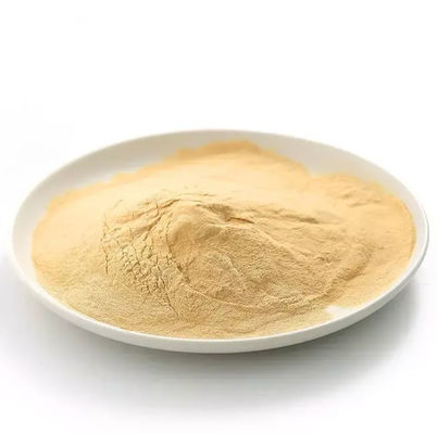 Brewers Yeast Animal Feed Yeast Extract CAS 8013-01-2