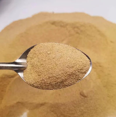 Single Cell Protein Feed Promote Growth Improve Immunity Mycoprotein Powder Protein