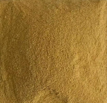 Single Cell Protein Animal Feed Nucleotide By Protein Mycoprotein