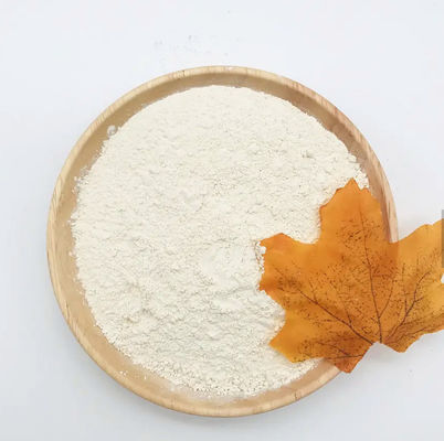 Brown Rice Protein Isolate Powder For Sport Rice Gluten Meal