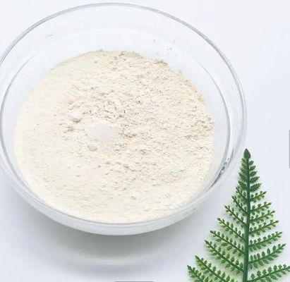 Brown Rice Protein Isolate Powder For Sport Rice Gluten Meal