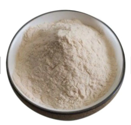 Yellow Organic Pure Pea Protein Powder Vegan Isolated