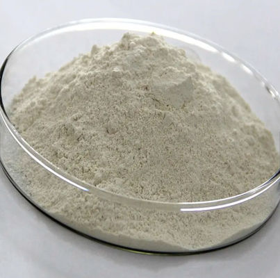 Garlic Powder Allicin 25%  Fish Cattle Feed Additive For Animal