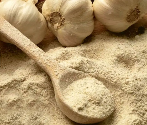 Horse Feed Additives High Purity Allicin In Garlic Powder 5%