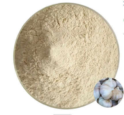 Horse Feed Additives High Purity Allicin In Garlic Powder 5%