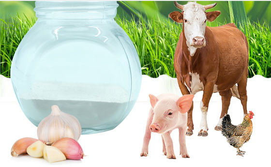 100% Pure Garlic Allicin Powder Livestock Cow Feed Additive Animal Health