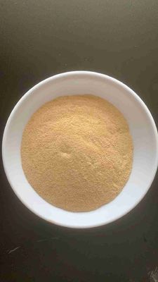 Yeast powder with cp 60 % for animal feed