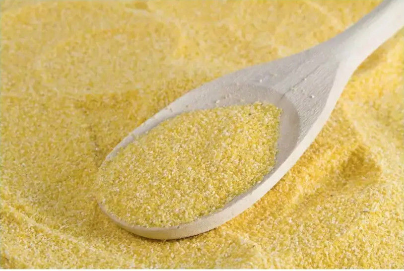 Maize Corn Gluten Meal Feed Ingredient For Beef Cattle Broilers Layers Chicken
