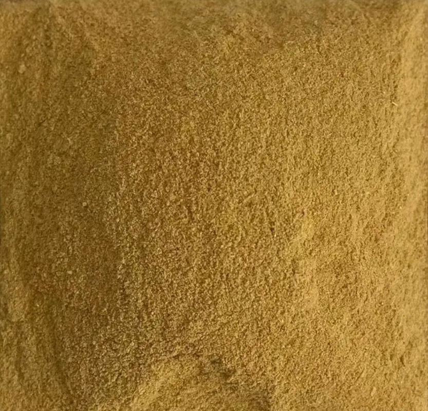 Protein Mycoprotein Raw Material For Fish Feed Animal Feed Cattle