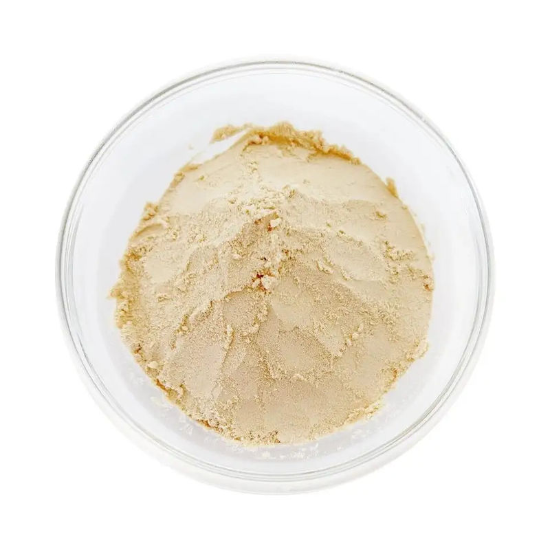 Chicken Rice Protein Meal  Raw Materials For Animal Feeds Chicken